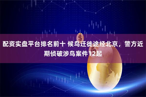 配资实盘平台排名前十 候鸟迁徙途经北京，警方近期侦破涉鸟案件12起
