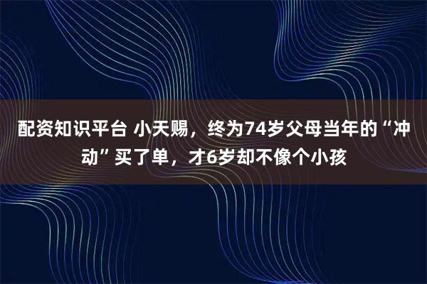配资知识平台 小天赐,终为74岁父母当年的“冲动”买了单,才6岁却不像个小孩